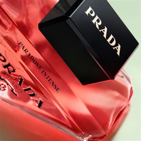 prada paradoxe 2022|prada paradoxe intense fragrantica.